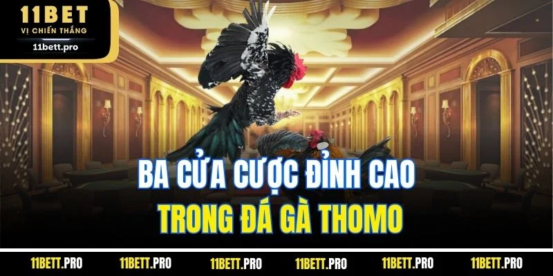 Ba cửa cược đỉnh cao trong đá gà Thomo