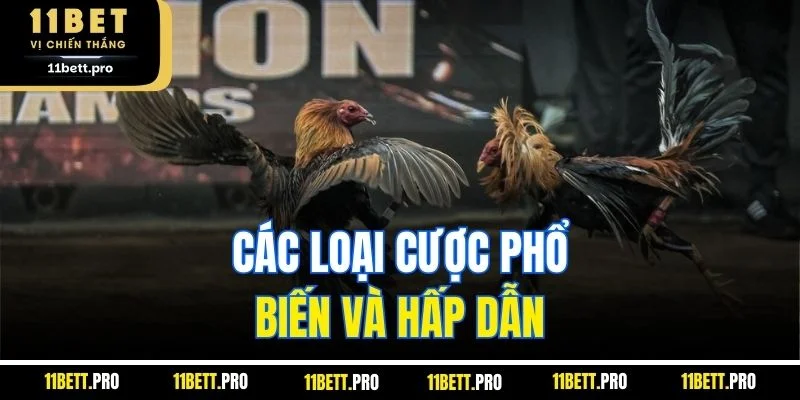Các loại cược phổ biến và hấp dẫn