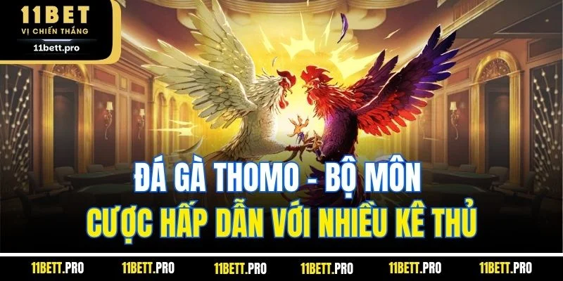 Đá gà Thomo