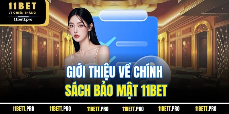 Giới thiệu về chính sách bảo mật 11BET