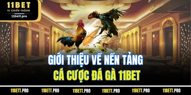 Giới thiệu về nền tảng cá cược đá gà 11BET