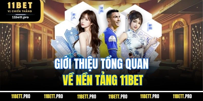 Giới thiệu tổng quan về nền tảng 11BET