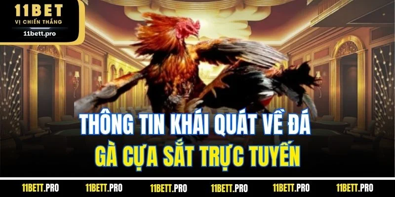 Thông tin khái quát về đá gà cựa sắt trực tuyến