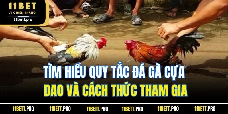 Tìm hiểu quy tắc đá gà cựa dao và cách thức tham gia